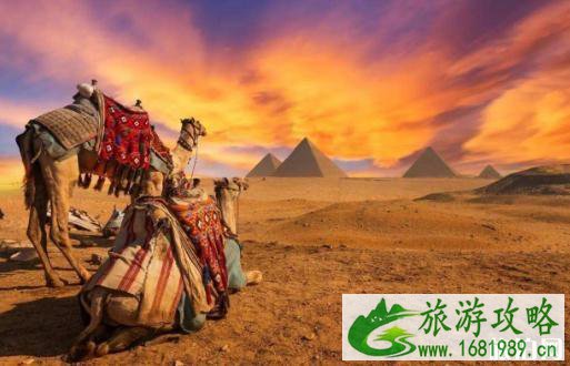 去埃及旅游需要注意事项 去埃及旅游攻略 去埃及旅游需要注意事项 去埃及旅游攻略