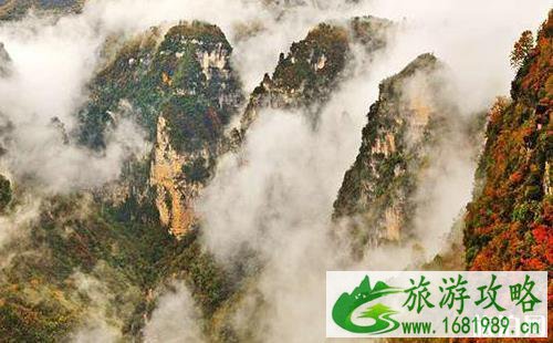 九路寨风景区看红叶攻略(时间+路线+门票+地址) 九路寨风景区看红叶攻略(时间+路线+门票+地址)