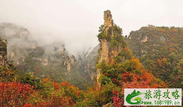 九路寨风景区看红叶攻略(时间+路线+门票+地址) 九路寨风景区看红叶攻略(时间+路线+门票+地址)