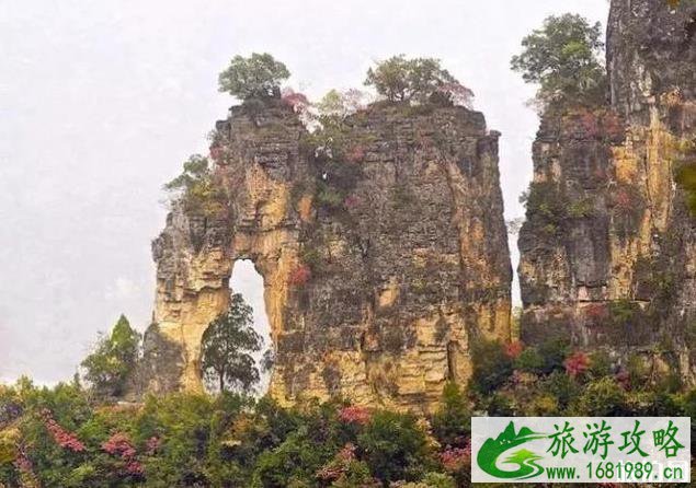 九路寨风景区看红叶攻略(时间+路线+门票+地址) 九路寨风景区看红叶攻略(时间+路线+门票+地址)