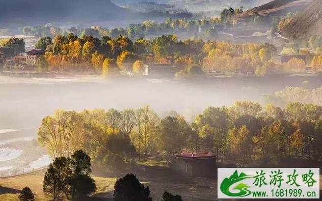 秋季最适合自驾游的地方推荐 秋季最适合自驾游的地方推荐