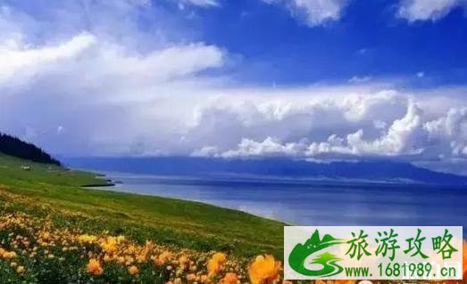 新疆深谷里面适合自驾游的一条公路介绍