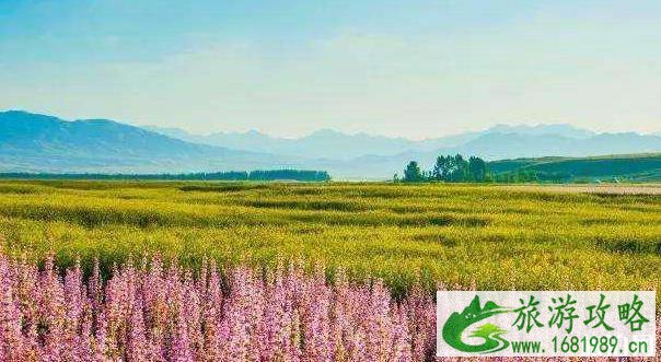 新疆自驾公路有哪些 有什么好玩的景点 新疆自驾公路有哪些 有什么好玩的景点