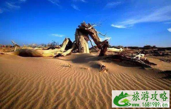 新疆自驾公路有哪些 有什么好玩的景点 新疆自驾公路有哪些 有什么好玩的景点
