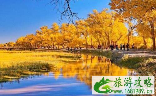 额济纳旅游什么时候去最好