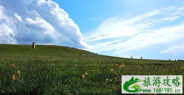 新疆伊昭公路都有哪些景点 新疆伊昭公路都有哪些景点