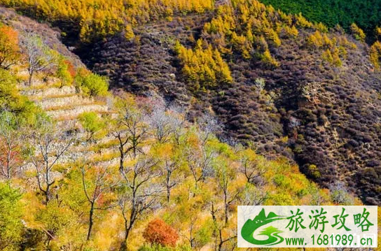 国庆去北京旅游好吗 北京9月有哪些景点适合旅行
