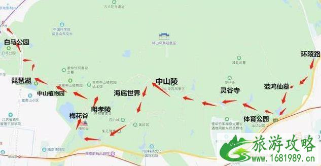 南京紫金山自驾线路推荐