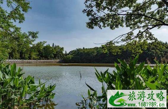 南京紫金山自驾线路推荐