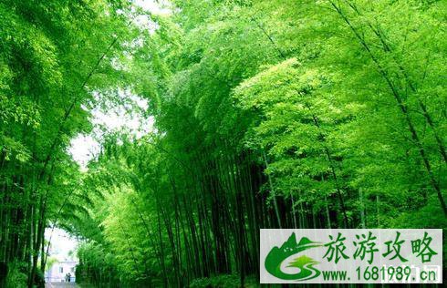 2022无锡十大旅游景点推荐 无锡必去的景点有哪些 2022无锡十大旅游景点推荐 无锡必去的景点有哪些