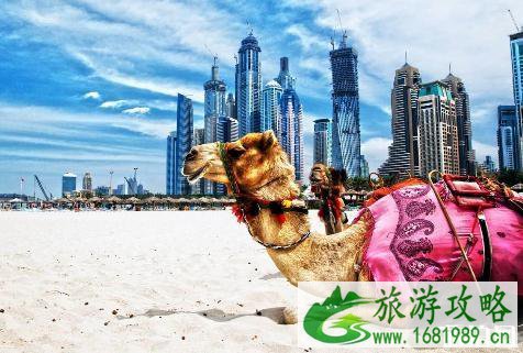 去迪拜旅行适合玩几天 去迪拜几天够玩 去迪拜旅行适合玩几天 去迪拜几天够玩
