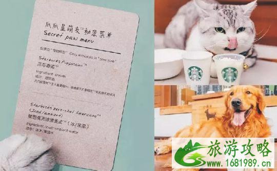 深圳哪些餐厅可以带宠物 深圳可以带宠物的餐厅推荐 深圳哪些餐厅可以带宠物 深圳可以带宠物的餐厅推荐