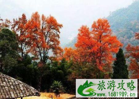 9月湖南旅游值得去的地方