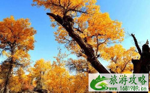 新疆十一自驾游攻略