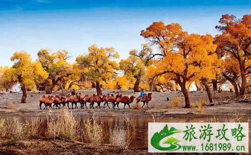 2022年9月份最适合旅游的地方推荐