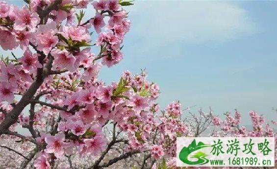 邢台九龙峡有什么好玩的 游玩线路+门票 邢台九龙峡有什么好玩的 游玩线路+门票