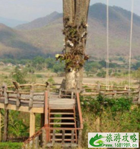 泰国pai县攻略2022 清迈到pai县交通