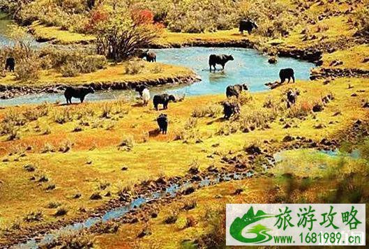 玛嘉沟旅游攻略 景点介绍+自驾游线路安排 玛嘉沟旅游攻略 景点介绍+自驾游线路安排