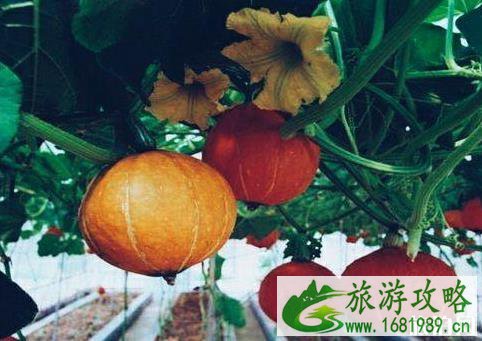 八桂田园门票多少钱 八桂田园介绍 八桂田园门票多少钱 八桂田园介绍