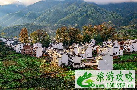 婺源四天游玩路线 11月婺源游玩攻略
