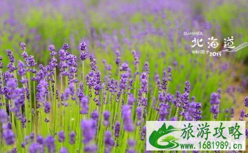 北海道攻略 北海道攻略