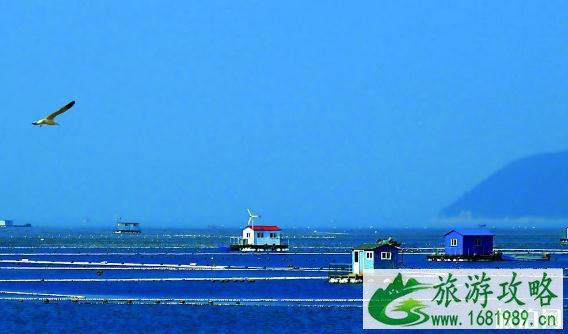 2022长岛海鲜节时间+地点+交通 2022长岛海鲜节时间+地点+交通