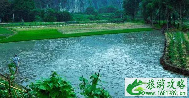 古堰画乡门票 江南烟雨浙江图片+景点介绍