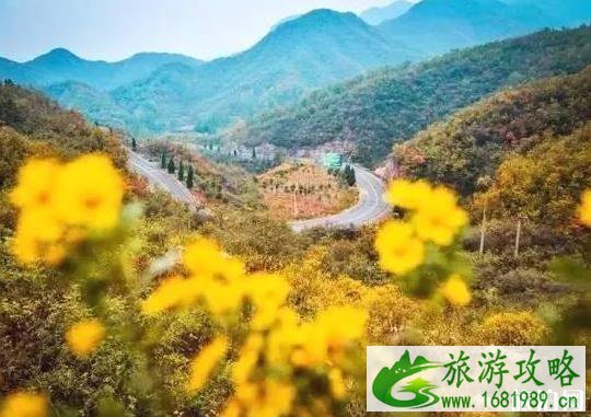 河南最美公路在哪里 河南都有些什么公路 河南最美公路在哪里 河南都有些什么公路