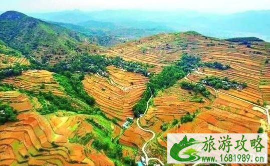 河南最美公路在哪里 河南都有些什么公路 河南最美公路在哪里 河南都有些什么公路