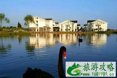 上海崇明房车露营地怎么预定 上海崇明房车露营地怎么预定