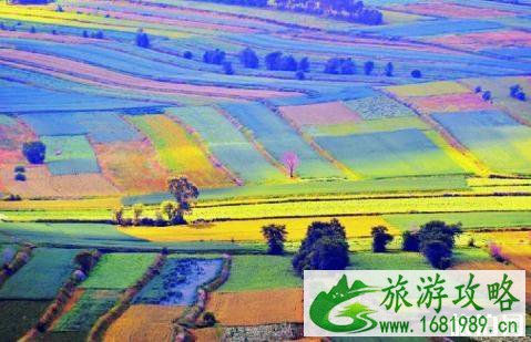 草原天路几月份适合去玩+游玩攻略 草原天路几月份适合去玩+游玩攻略