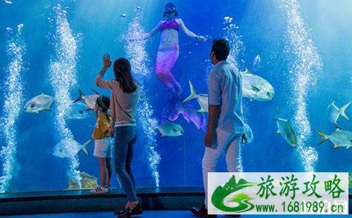 2022青岛海昌极地海洋公园门票价格+优惠信息 2022青岛海昌极地海洋公园门票价格+优惠信息
