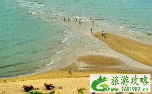 中国菠萝之乡在哪里 徐闻好玩吗
