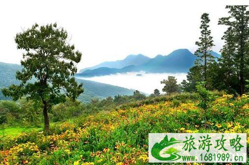 黛眉山景区门票多少钱 黛眉山景区门票多少钱