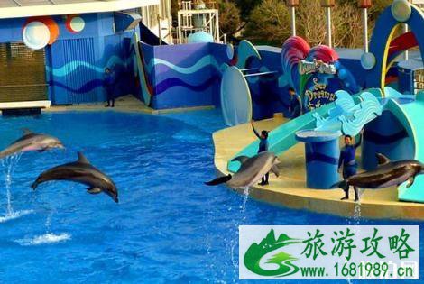 2022天津海昌极地海洋公园门票价格+年卡价格+优惠信息