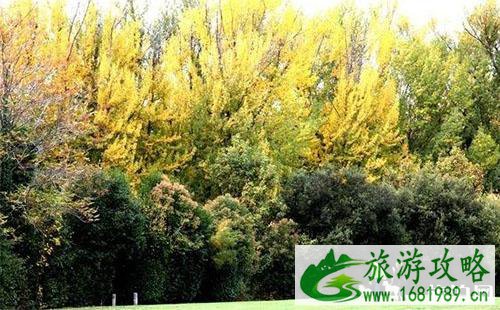 哪些景点去过还想再去 哪些景点让人想去第二次 哪些景点去过还想再去 哪些景点让人想去第二次