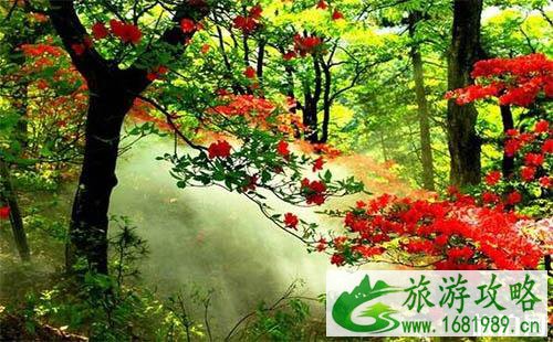 河南云露山门票多少钱 河南云露山门票多少钱