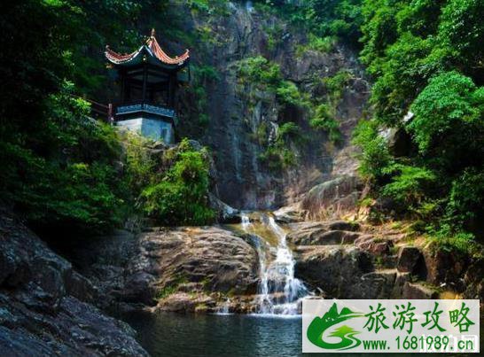 郭家河乡的十里枫杨林怎么样