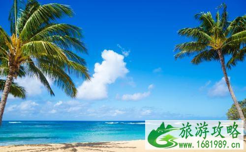 夏威夷租车注意事项 夏威夷租车注意事项