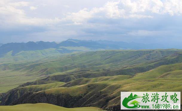 喀拉峻草原好玩吗 喀拉峻草原介绍 喀拉峻草原好玩吗 喀拉峻草原介绍