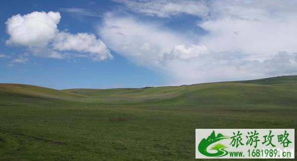 喀拉峻草原好玩吗 喀拉峻草原介绍 喀拉峻草原好玩吗 喀拉峻草原介绍