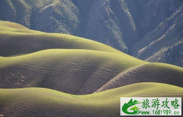喀拉峻草原好玩吗 喀拉峻草原介绍 喀拉峻草原好玩吗 喀拉峻草原介绍