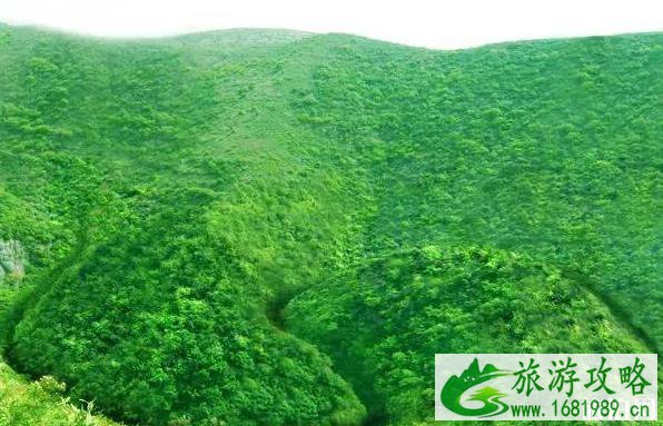丹江口水库最美公路 线路详解(附地图) 丹江口水库最美公路 线路详解(附地图)