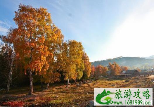 秋季北疆大环线游玩 11日游玩行程安排 秋季北疆大环线游玩 11日游玩行程安排