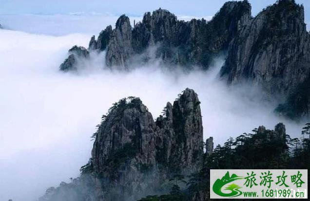 庐山和黄山比较哪一个好玩些