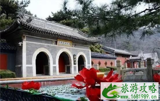 潭柘寺求什么灵 潭柘寺求什么灵