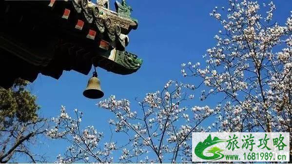 潭柘寺求什么灵 潭柘寺求什么灵