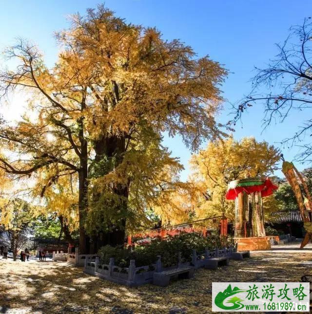 潭柘寺求什么灵 潭柘寺求什么灵