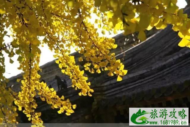 潭柘寺求什么灵 潭柘寺求什么灵