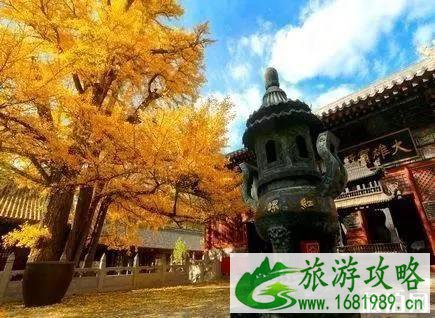 潭柘寺求什么灵 潭柘寺求什么灵